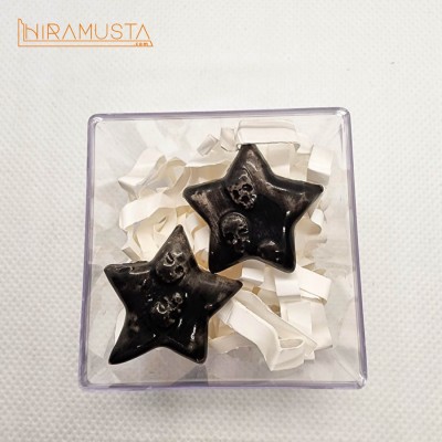 Kuru Kafalı Çift Yıldız Broş